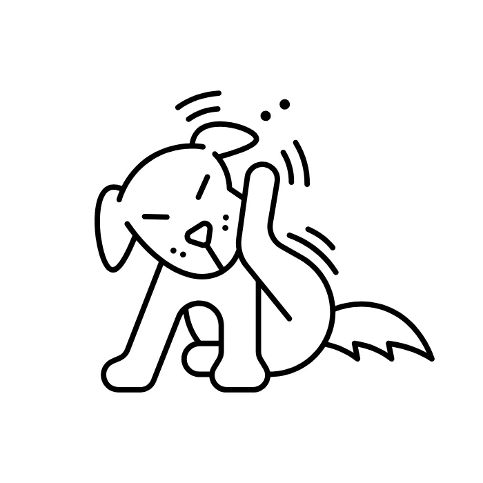 Alergii
