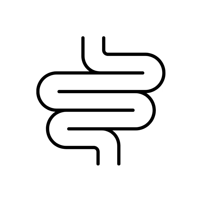 Digestie