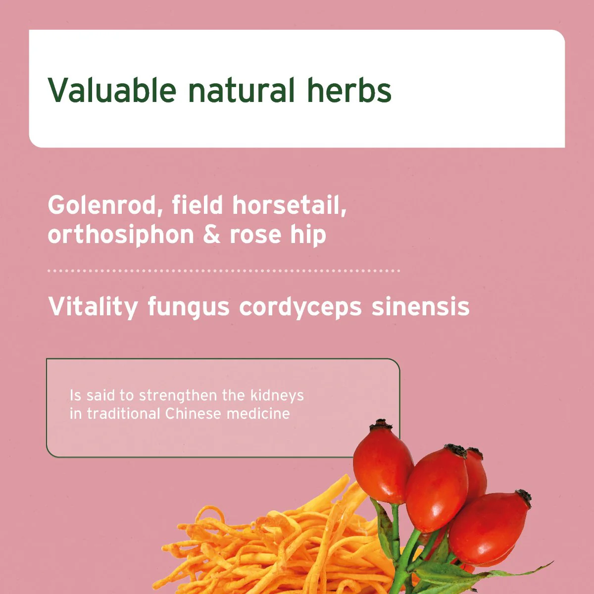 kidneyvetal-powder-397027