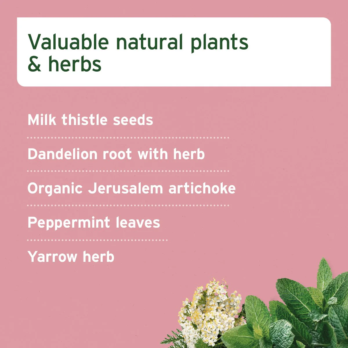 livervetal-powder-374789