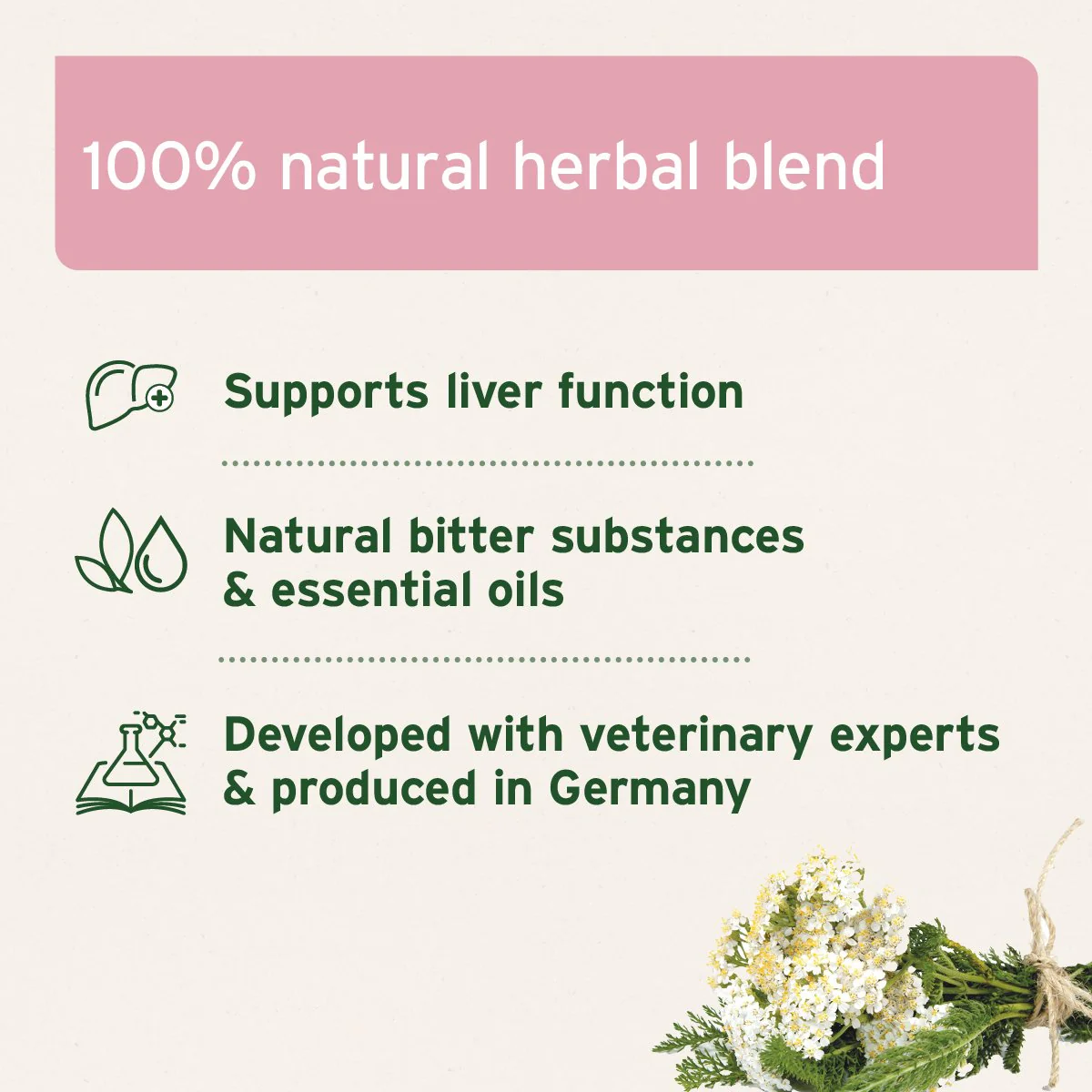 livervetal-powder-596589