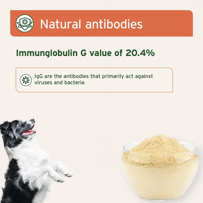 premium-colostrum-powder-for-dogs-cats-100g-483539