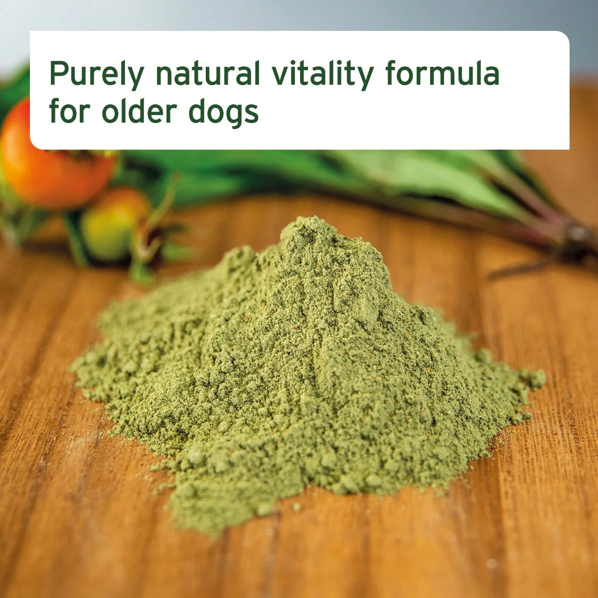 senior-active-supplement-250g-vitality-agility-for-older-dogs-290389