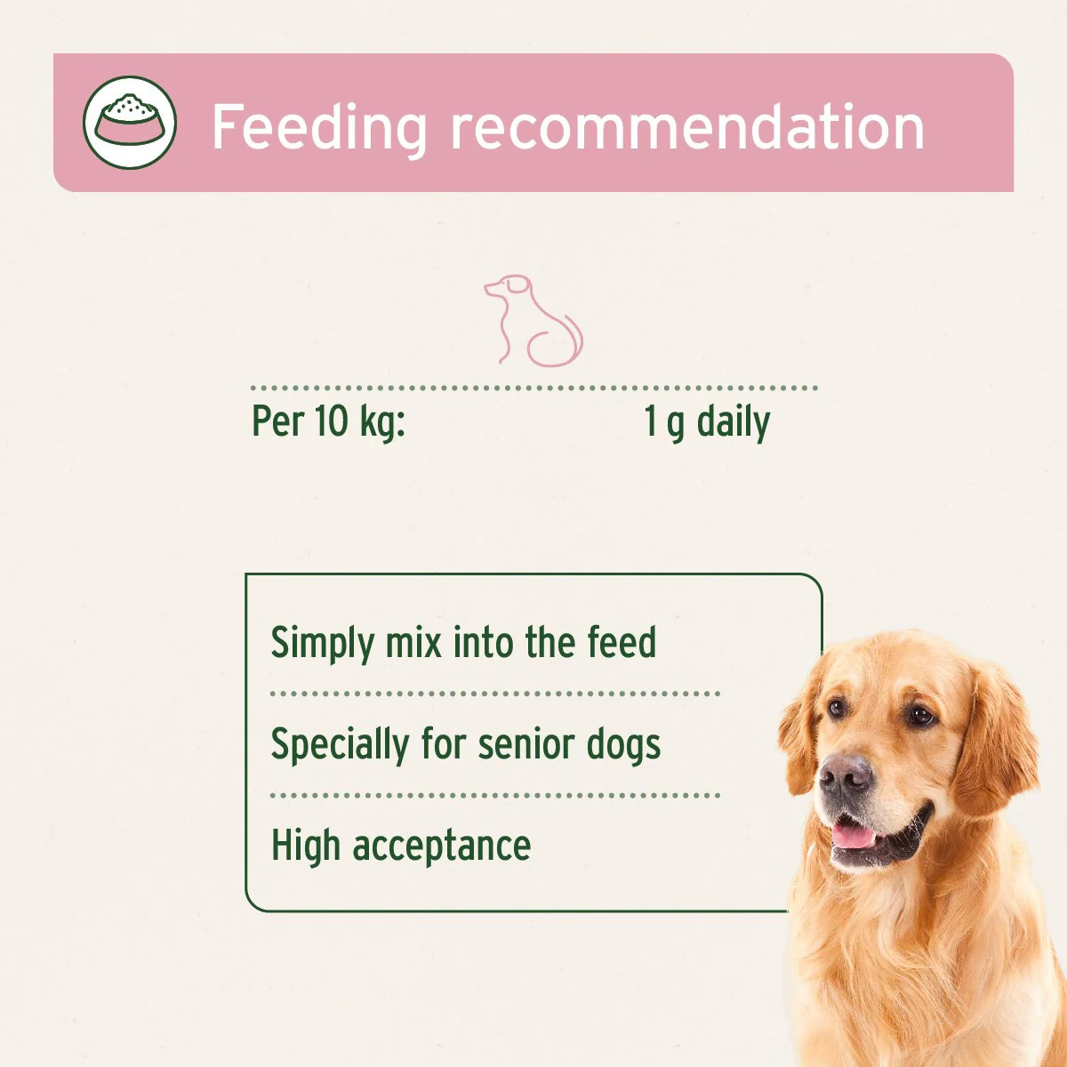 senior-active-supplement-250g-vitality-agility-for-older-dogs-904821